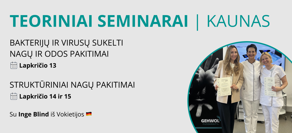 Seminaras - Inge Blind