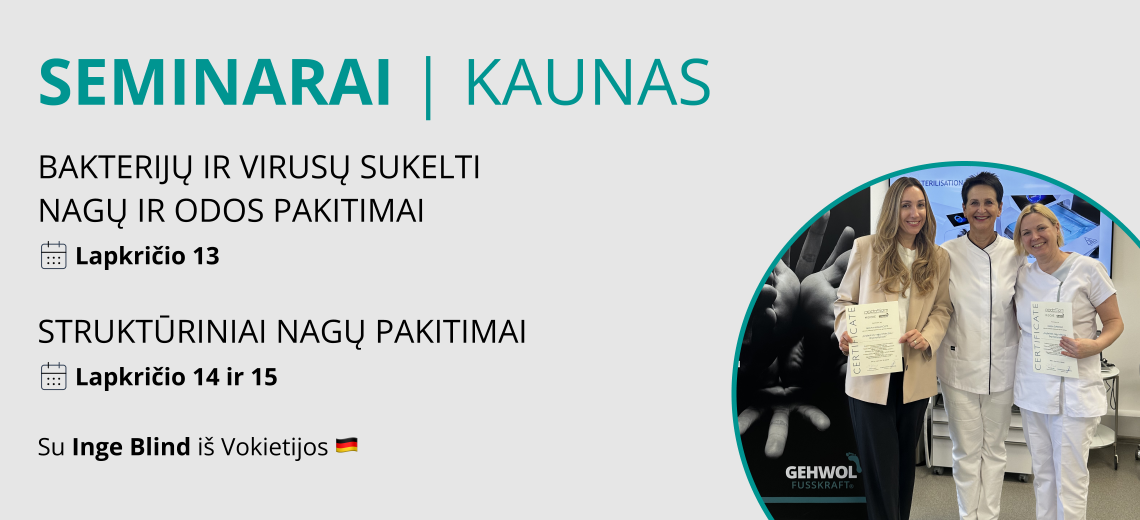 Seminaras - Inge Blind